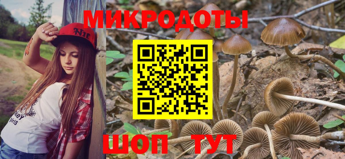 Галлюциногенные грибы мицелий Гудермес