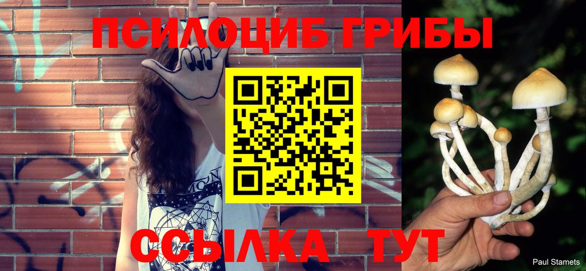 Гудермес  Галлюциногенные грибы Psilocybine cubensis  Вход с VPN 
